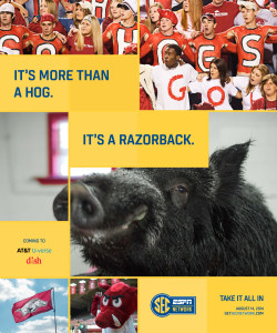 espn15806M_10x12_Arkansas[5][1]