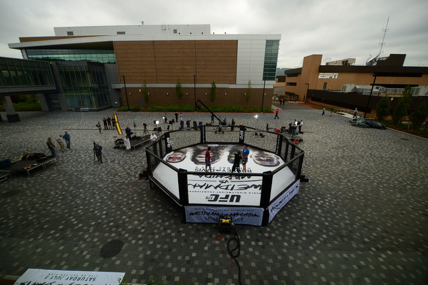 UFC Octagon