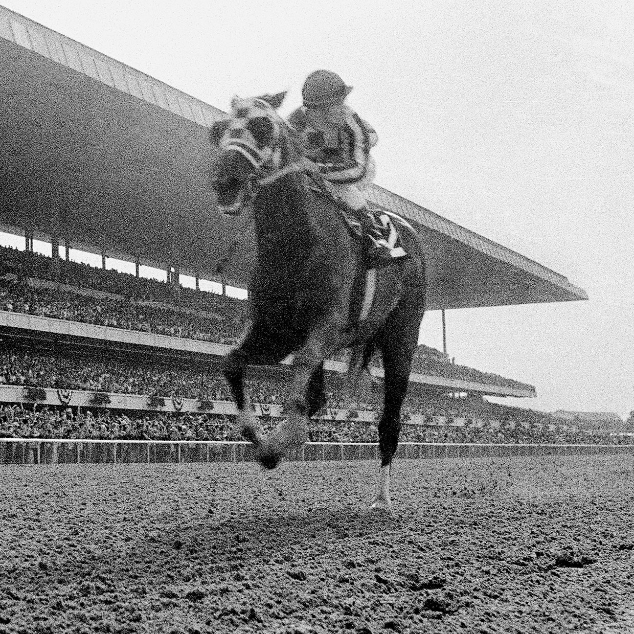 Jockey Ron Turcotte could use a telescope to see Twice A Pri